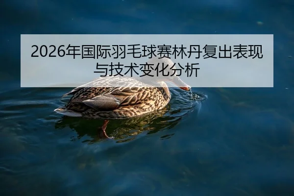 2026年国际羽毛球赛林丹复出表现与技术变化分析