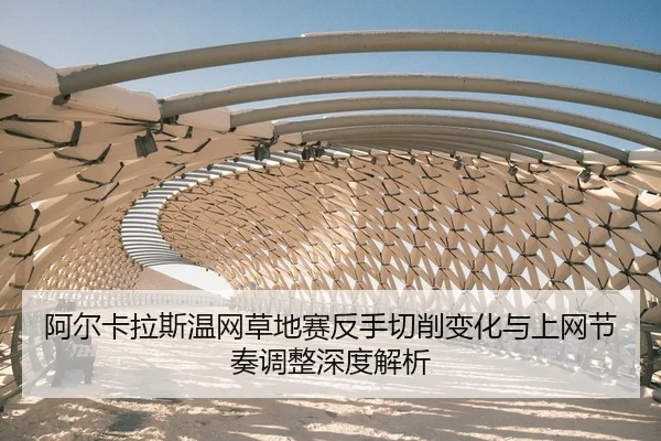 a-er-ka-la-si-wen-wang-cao-di-sai-fan-shou-qie-xiao-bian-hua-yu-shang-wang-jie-zou-tiao-zheng-shen-du-jie-xi-2-439.jpg