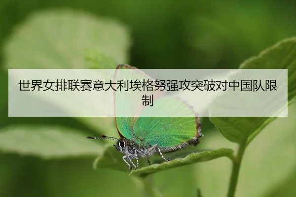 shi-jie-nv-pai-lian-sai-yi-da-li-ai-ge-nu-qiang-gong-tu-po-dui-zhong-guo-dui-xian-zhi-3-199.jpg
