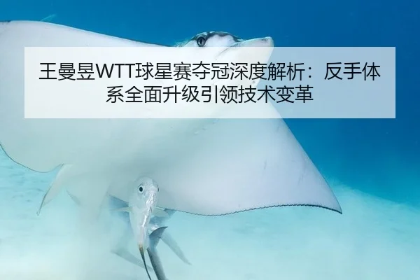 王曼昱WTT球星赛夺冠深度解析：反手体系全面升级引领技术变革
