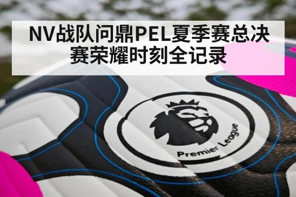 NV战队问鼎PEL夏季赛总决赛荣耀时刻全记录